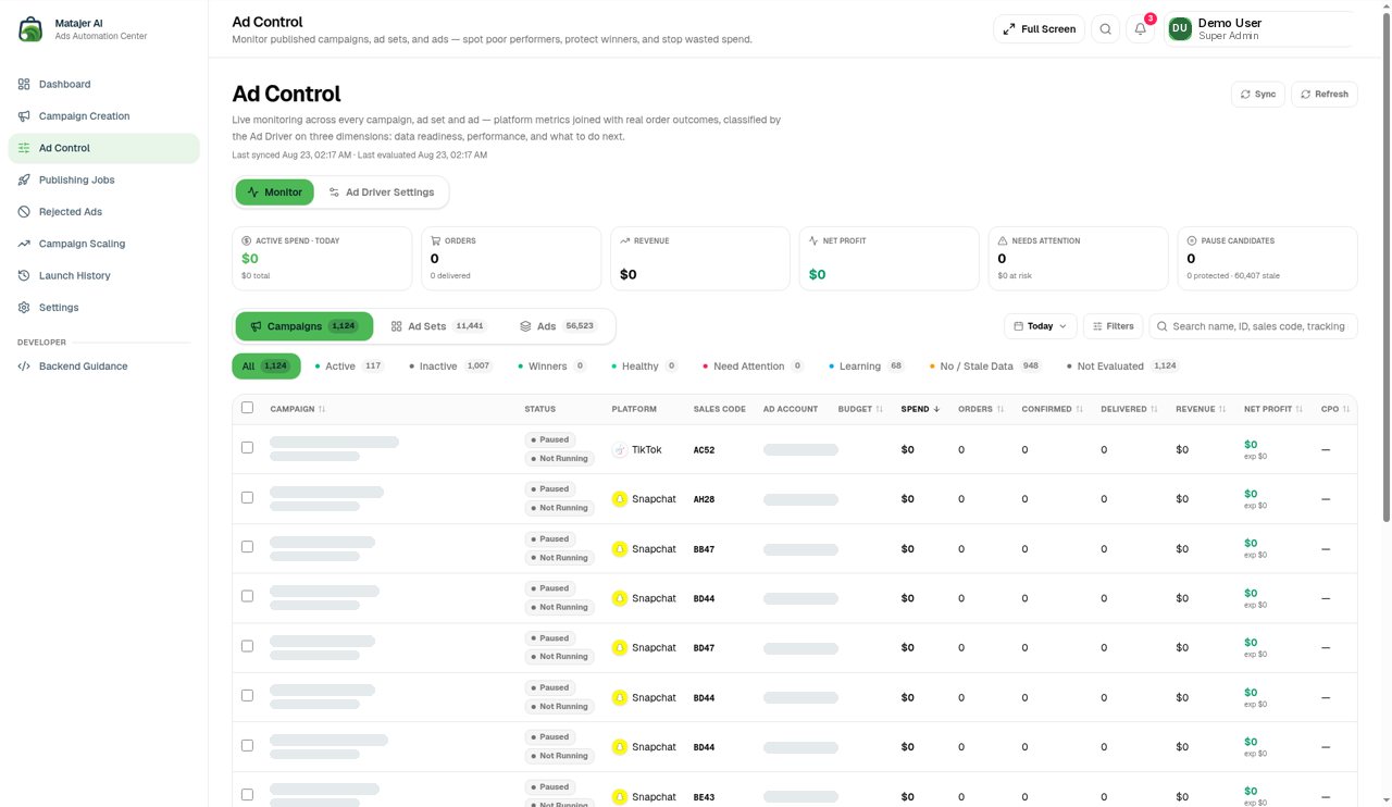 Ad Control table with masked campaign and ad account names